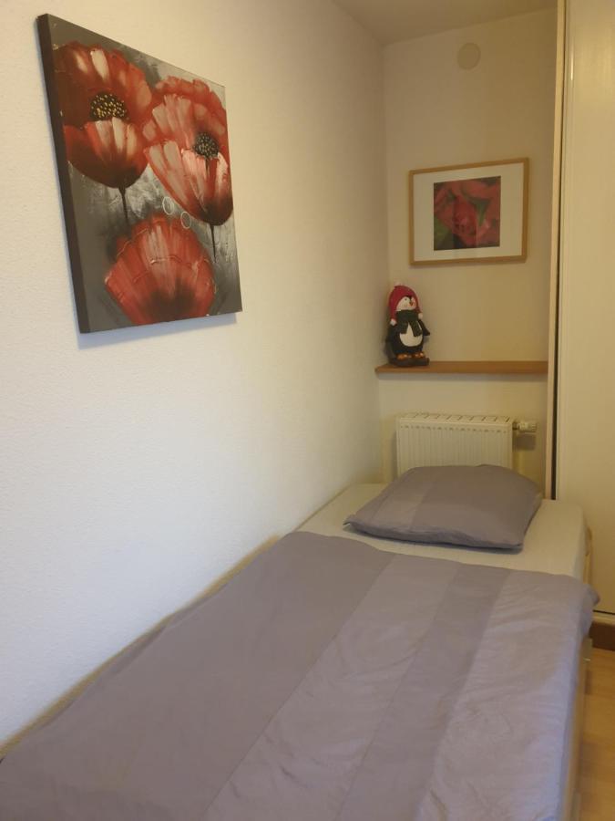 Appartement Proche D'Europa Park/Marches De Noel Rhinau Kültér fotó