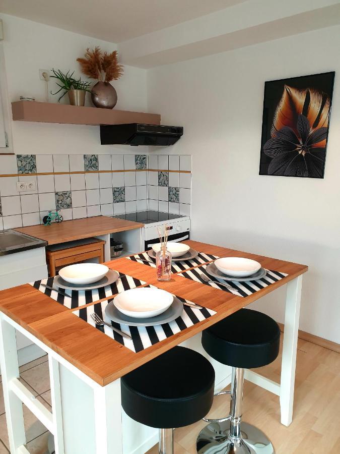 Appartement Proche D'Europa Park/Marches De Noel Rhinau Kültér fotó