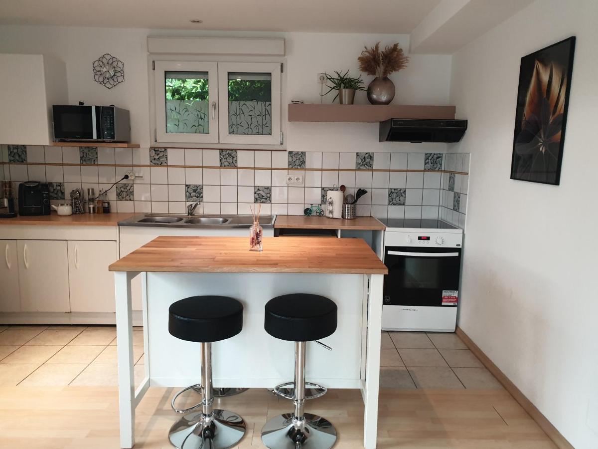 Appartement Proche D'Europa Park/Marches De Noel Rhinau Kültér fotó