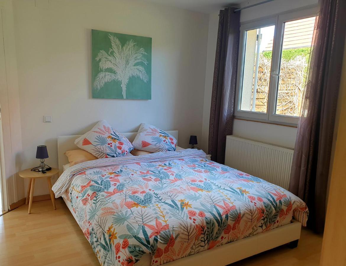 Appartement Proche D'Europa Park/Marches De Noel Rhinau Kültér fotó
